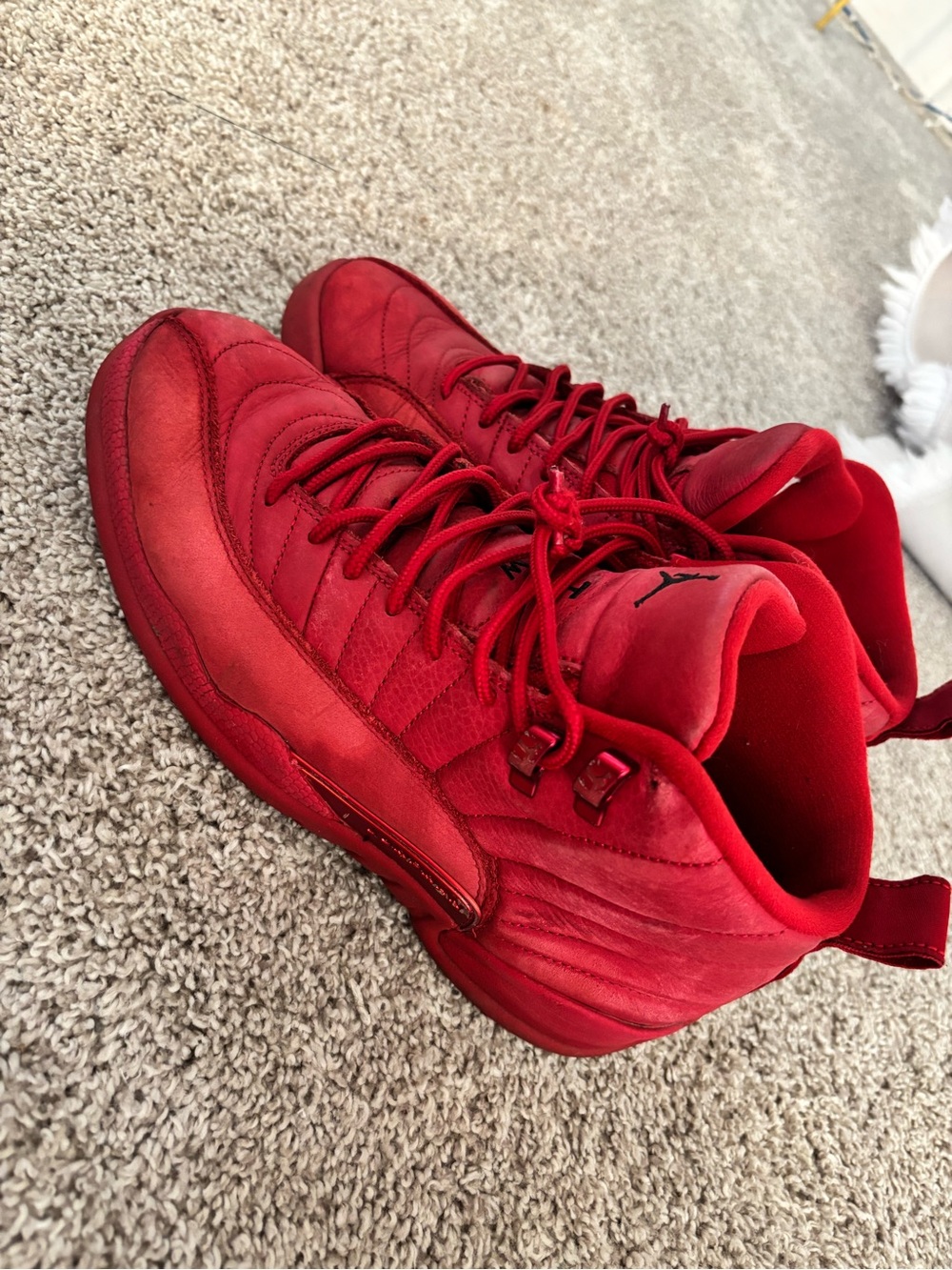 Mens Jordan Retro 12 Size 8.5
